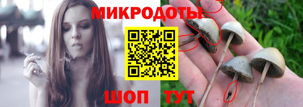 Шатура  Галлюциногенные грибы мицелий  Вход с VPN 
